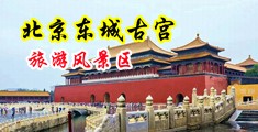 能看打毛洞的黄色网站中国北京-东城古宫旅游风景区